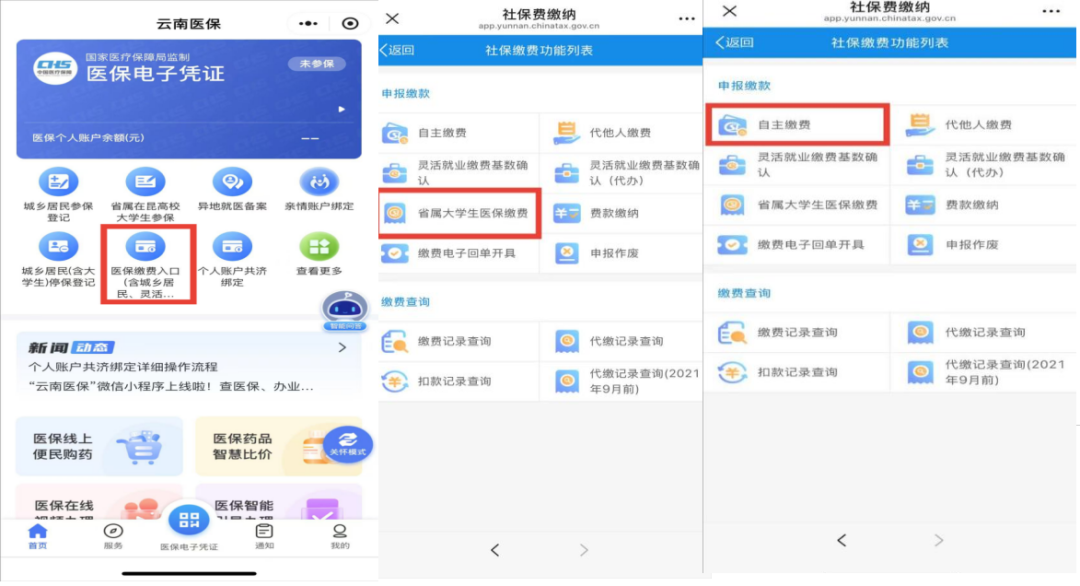 政策|医保护航 毕业守护——云南医保致2025届高校毕业生的一封信 第 2 张