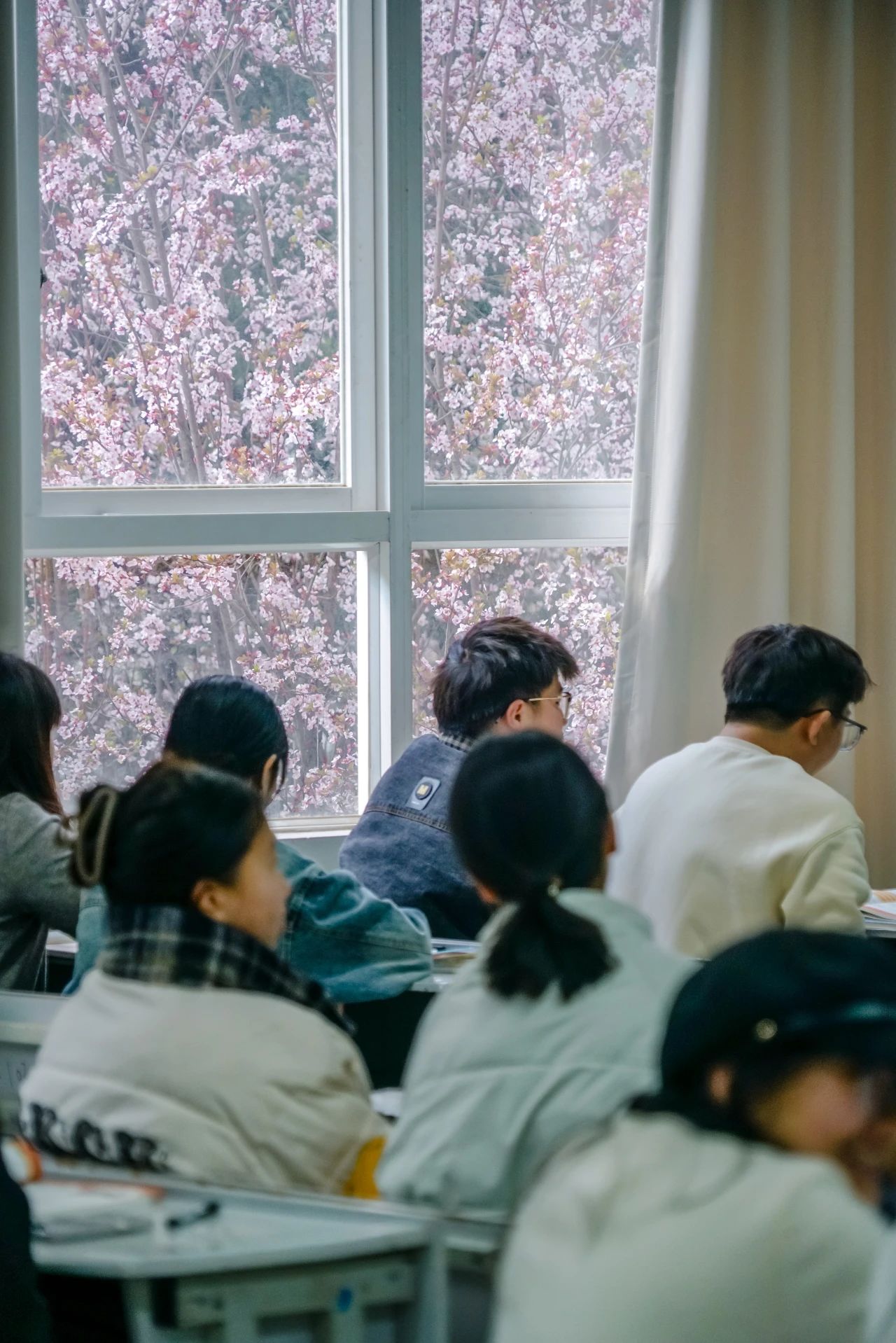 2026世界杯官方合作网站春季学期开学! 第 6 张 2026世界杯官方合作网站春季学期开学! 第 6 张
