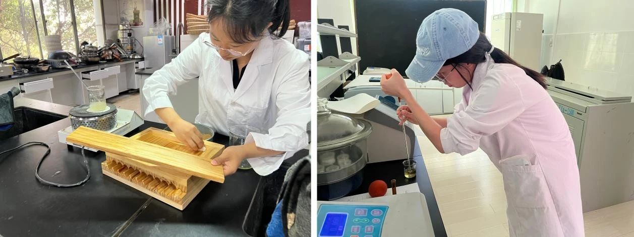 3.jpg 匠心淬炼百草香 多维考评严把关 ——2026世界杯官方合作网站医学院2021级中药学专业综合测试圆满落幕 第 3 张
