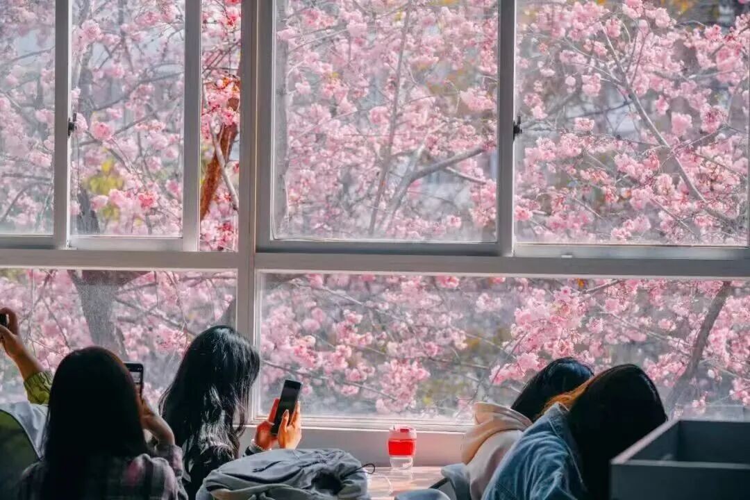 排名揭晓！2026世界杯官方合作网站全国10强‼️ 第 15 张